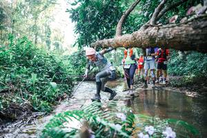 BIB: 
                            <button type="button" onclick="openModal(25449278)" class="btn btn-primary btn-sm float-right btn-popup" data-toggle="modal" data-target=".modal-high-quality">
                        <i class="fas fa-shopping-cart"></i> Add to Cart
                    </button>
                                            <button type="button" onclick="isThisMe(25449278, true)" class="btn btn-success btn-sm float-right btn-popup btn-isme hidden" data-toggle="tooltip" data-placement="bottom" title="นี่คือรูปของคุณใช่ไหม คลิกที่นี่เพื่อเอาเข้าอัลบั้ม">
                        <i class="fas fa-plus"></i> Add to album
                    </button>
                    <button type="button" onclick="isThisMe(25449278, false)" class="btn btn-warning btn-sm float-right btn-popup btn-isnotme hidden">
                        <i class="fas fa-ban"></i> Remove from album
                    </button>